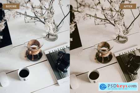 Vintage Brown Lightroom Presets 6762408