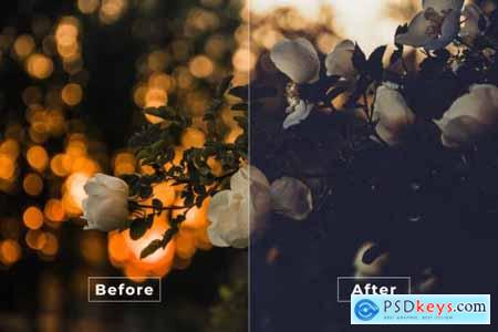 Airy Vintage LUTs and Lightroom Presets