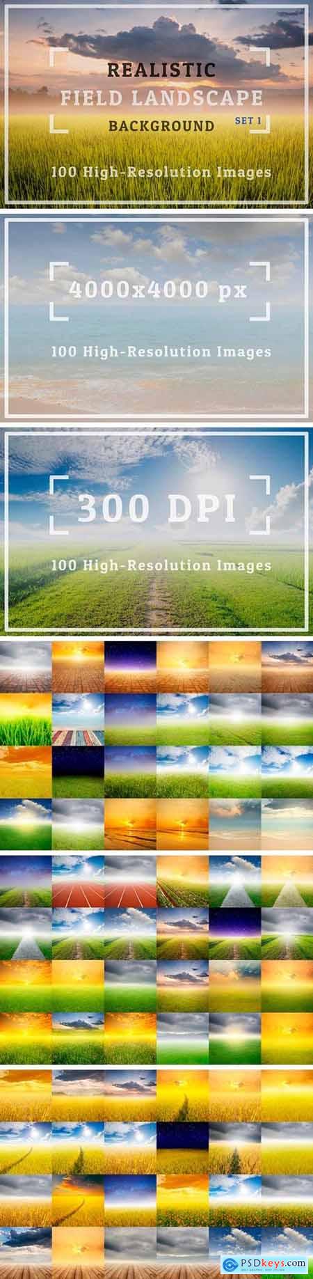 100 Realistic Field Landscape Set 1 738691