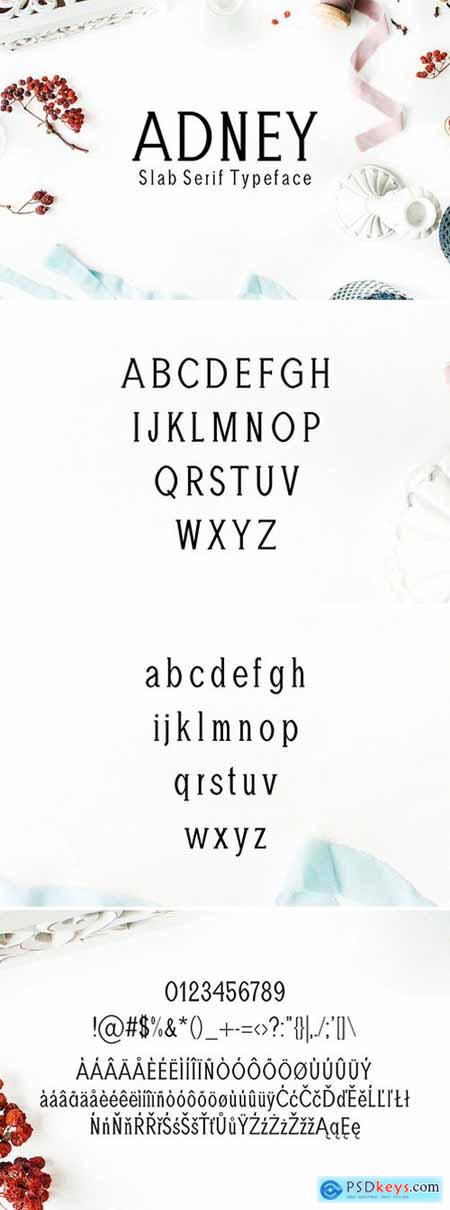 Adney Slab Serif 3 Font Family