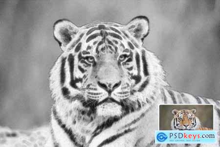 Pencil Drawings Effect Photoshop Action