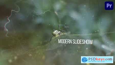 Modern Slideshow 37857493