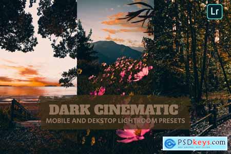 Dark Cinematic Lightroom Presets Dekstop Mobile ZQRQDQD