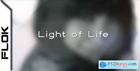 Light of Life 411467
