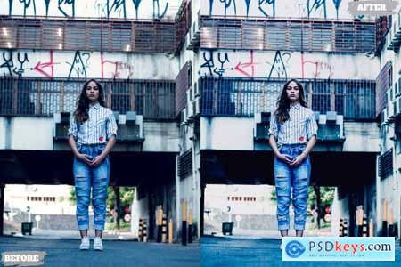 Artistic Style Lightroom Presets Dekstop Mobile