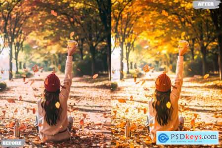 Autumn Lifstyle Lightroom Presets Dekstop Mobile