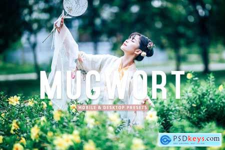 Mugwort Mobile & Desktop Lightroom Presets