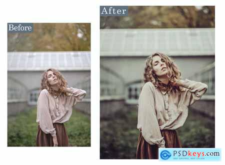 Bronze Lightroom Presets Desktop and Mobile