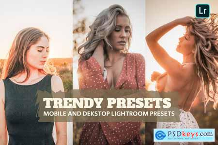 Trendy Lightroom Presets Dekstop and Mobile