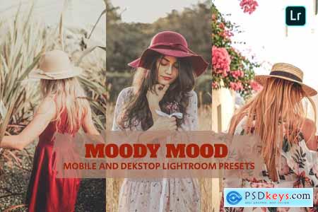 Moody Mood Lightroom Presets Dekstop and Mobile
