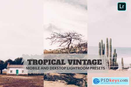 Tropical Vintage Lightroom Presets Dekstop Mobile