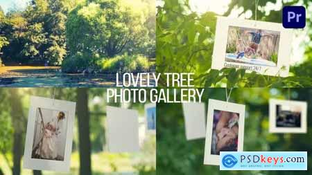Lovely Tree Photo Gallery 38569897