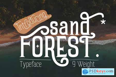 Sand Forest - Retro Display Font