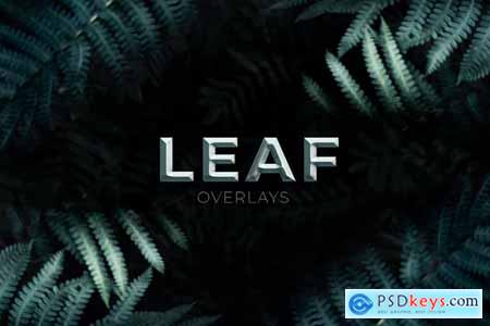Leaf Overlays