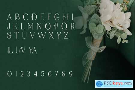 Agelya - Classic Serif Font