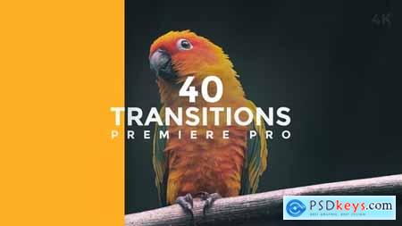 Transitions Premiere Pro 38682512