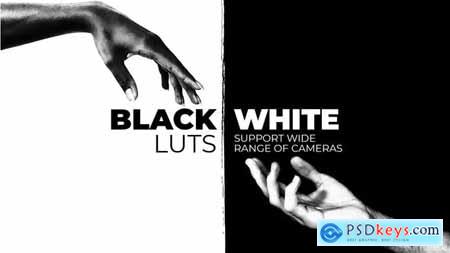 Black and White LUTs