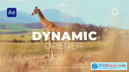 Dynamic Stomp Opener 38748536