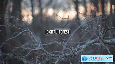 Digital Forest 30866393