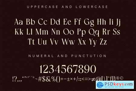 Serif Unique Display Font