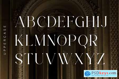 Elegant Serif Modern Display Font