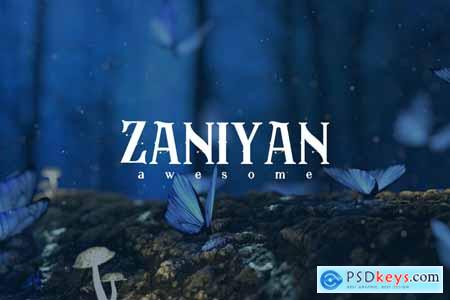 Zaniyan - Sans Serif Font