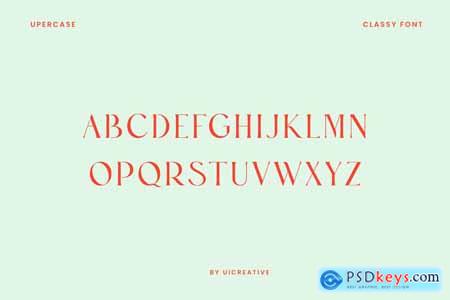 Bohemian Stylish Luxury Serif Font