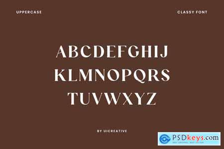 Funtonaile Elegant Serif Font