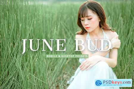 June Bud Mobile & Desktop Lightroom Presets