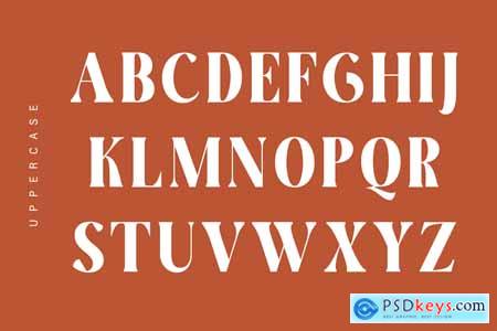 Elegant Display Serif Font