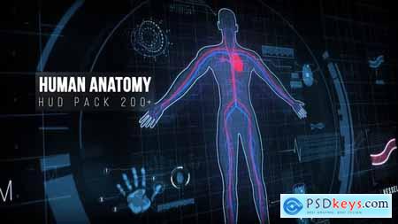 Human Anatomy HUD Pack 200+ 22128440
