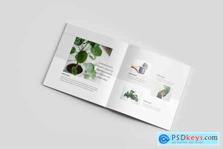 Aesthetics Plant Catalog