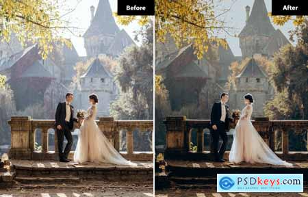 6 Bohemian Lightroom and Photoshop Presets