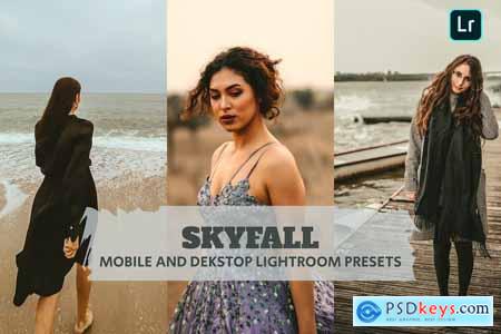 Skyfall Lightroom Presets Dekstop and Mobile