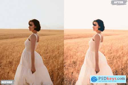 Pure Airy Lightroom Presets Dekstop and Mobile