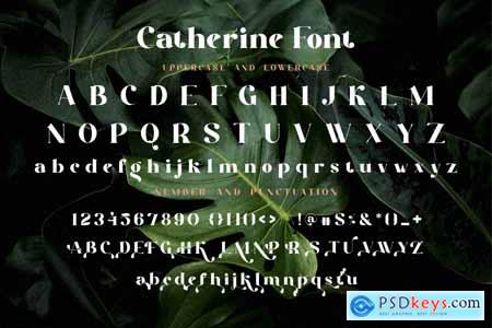 Catherine Serif New font