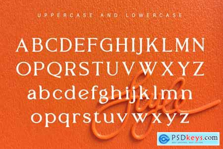 Elegant Serif Modern Display Font