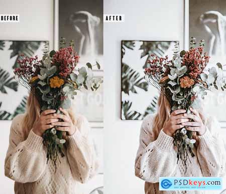 Bright airy Photoshop Action & Lightrom Presets