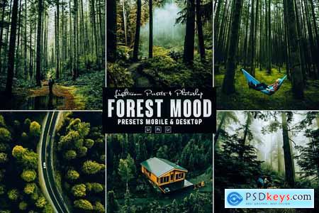 Forest Photoshop Action & Lightrom Presets