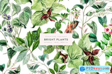 Bright Plants