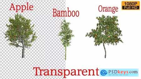 3 Types Tree Animation Pack 24132907
