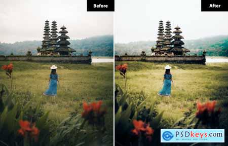 6 Bali Lightroom and Photoshop Presets