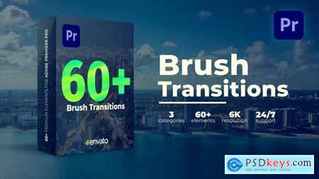 Brush Transitions 39527459