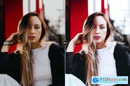 Holly Berry Mobile & Desktop Lightroom Presets