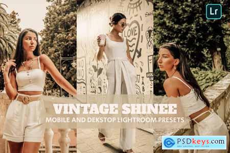 Vintage Shine Lightroom Presets Dekstop and Mobile