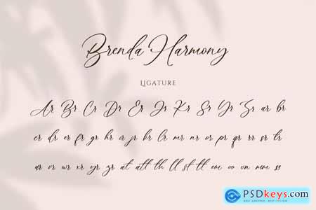 Brenda Harmony Script Handwriting Signature Font
