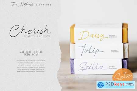 The Notholl Script font