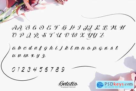 Gelatio - Script Font