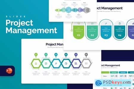 Business Project Management PowerPoint Infographic