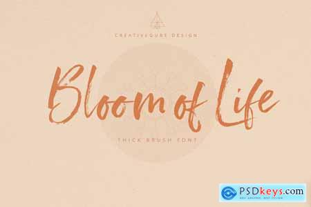 Bloom of Life Script font